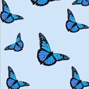 Meet your Posher, Cydney